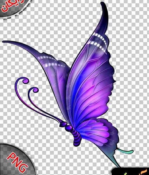 عکس پروانه گرافیکی