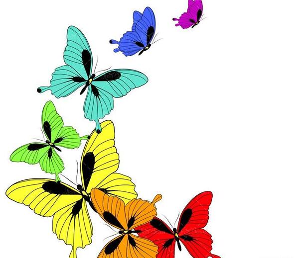 عکس پروانه گرافیکی