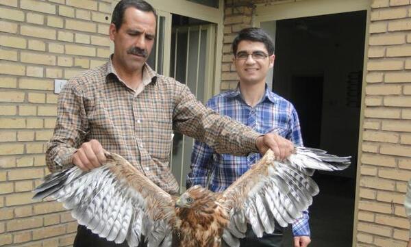 عکس بچه شاهین