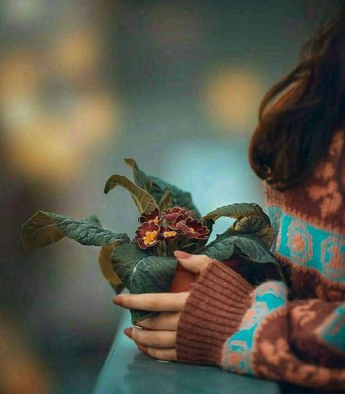 عکس های جالب برای پروفایل بدون متن
