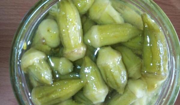 عکس ترشی رازیانه