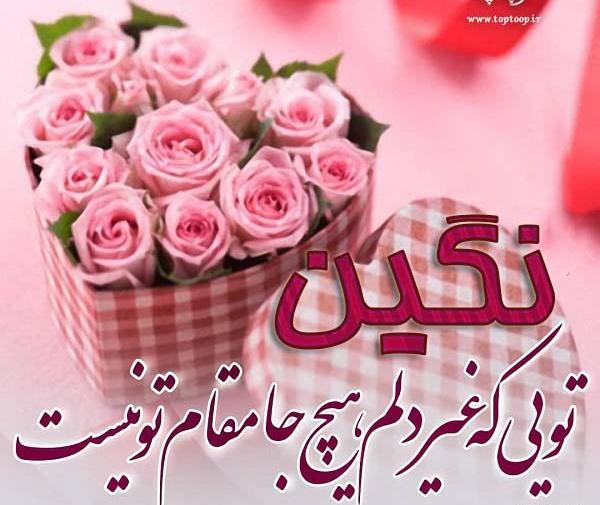 عکس نوشته نگین جونم