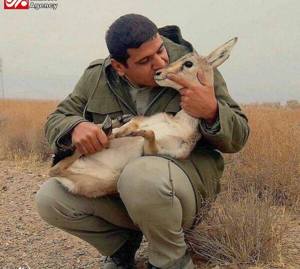 عکسهای زیبا اهو