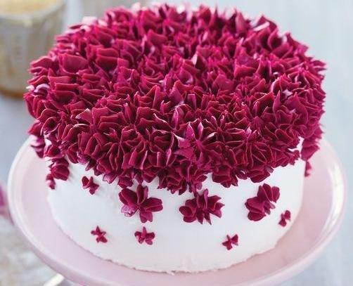 عکس کیک ساجده