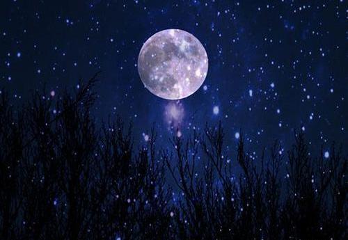 عکس شب مهتابی کارتونی