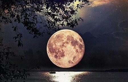 عکس شب مهتابی کارتونی