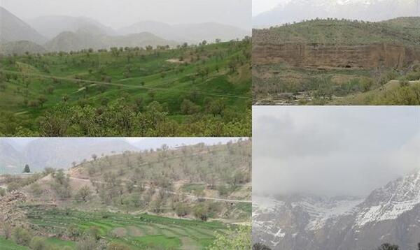 عکس احمد غریبی