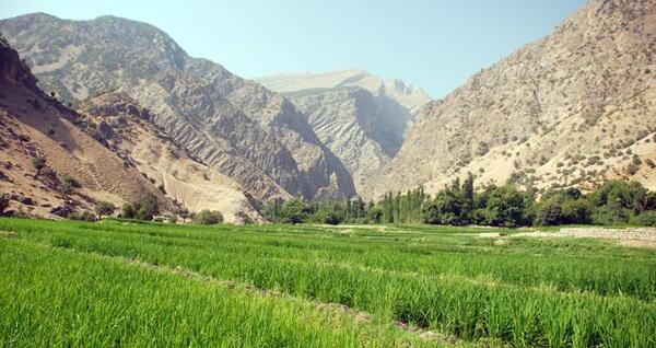 عکس احمد غریبی
