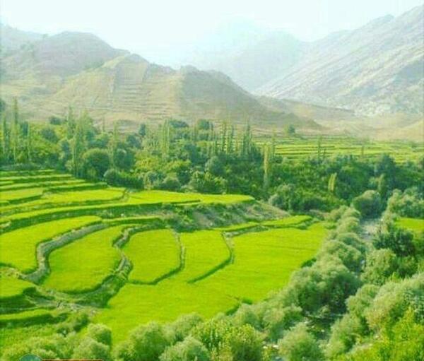 عکس احمد غریبی