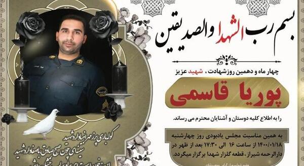 عکس پوریا قاسمی
