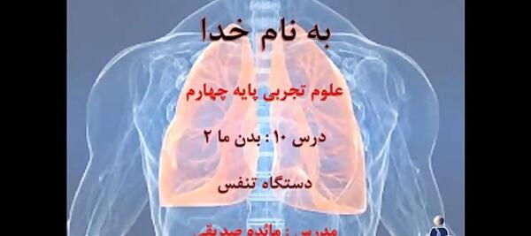 عکس قلب انسان کلاس چهارم