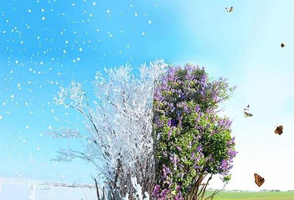 عکس سه بعدی زمستان