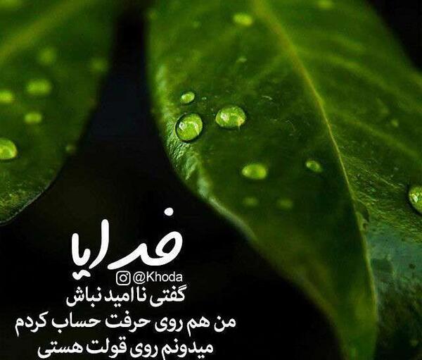 عکس نوشته خدایا گفتی نا امید نباش
