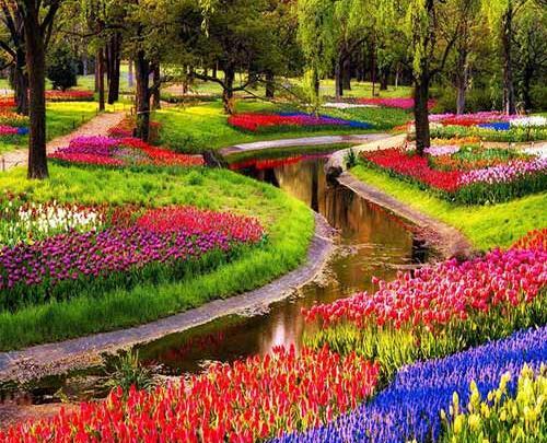 باغ گل عکس گل های زیبای جهان