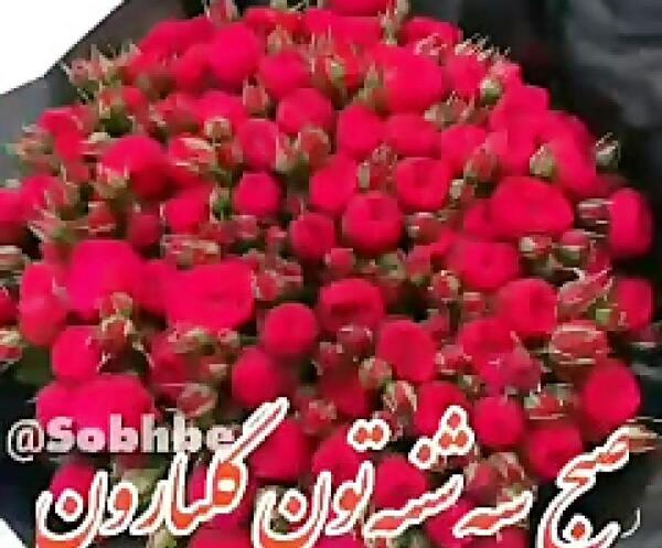 عکس پروفایل صبح بخیر سه شنبه