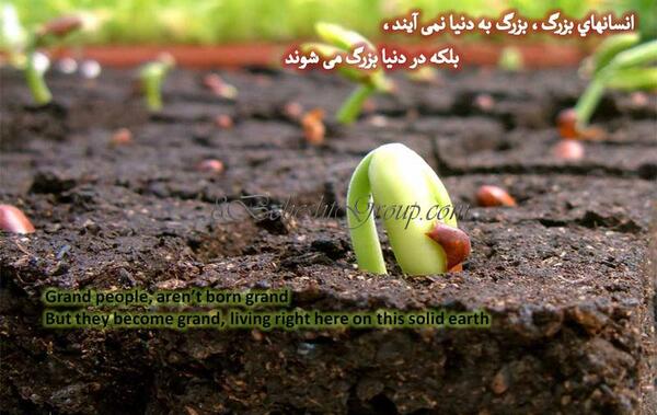 عکس نوشته گیرم پدر تو بود فاضل