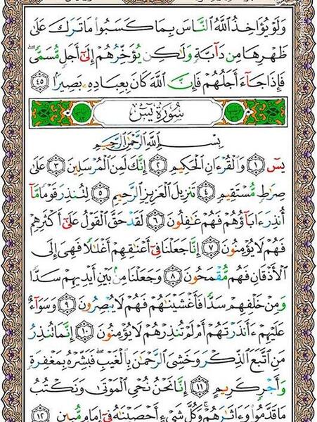 عکس جالب صوت