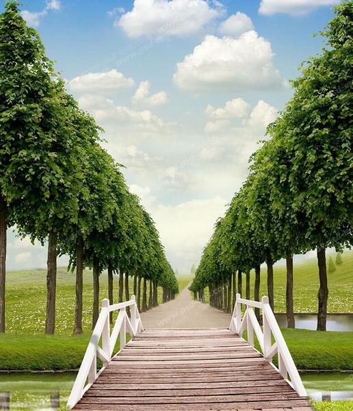 عکس منظره زیبا درخت