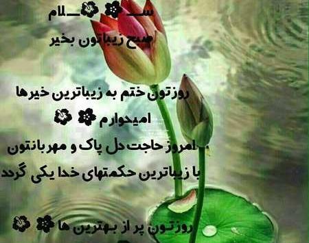 عکس طبیعت صبح بخیر