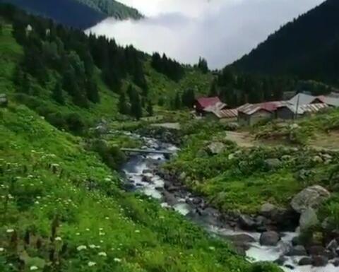 عکس طبیعت صبح بخیر