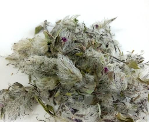 عکس چای پشمی