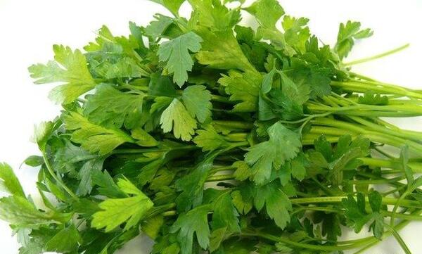 عکس جعفری سبزی