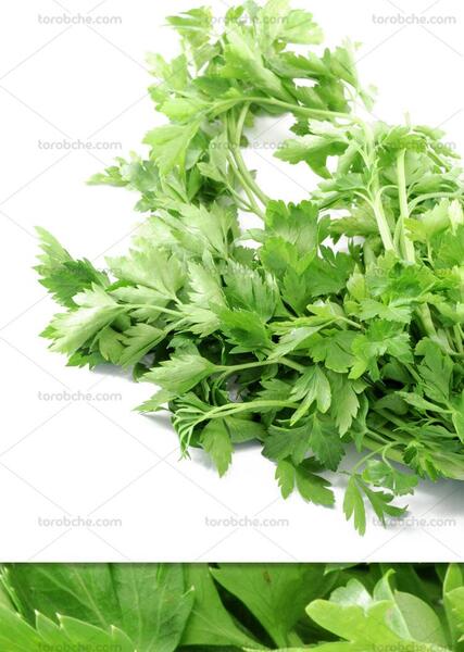عکس جعفری سبزی