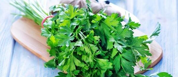 عکس جعفری سبزی