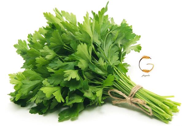 عکس جعفری سبزی