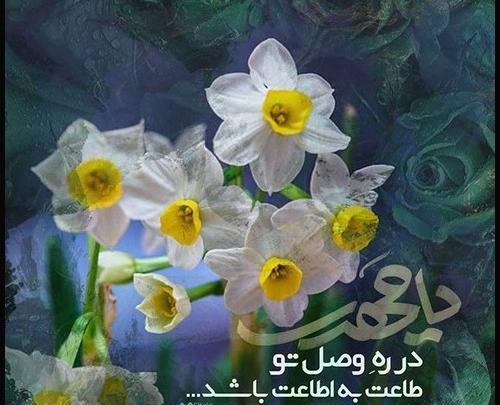 عکس امام زمان بدون نوشته