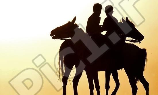 تحقیق در مورد عکس ضد نور