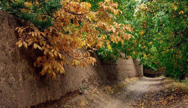 عکس از طبیعت پاییز ایران
