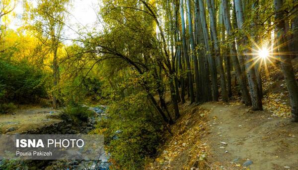 عکس از طبیعت پاییز ایران