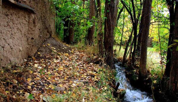 عکس از طبیعت پاییز ایران