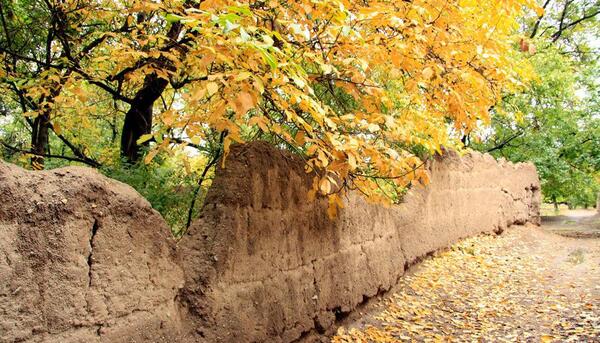 عکس از طبیعت پاییز ایران
