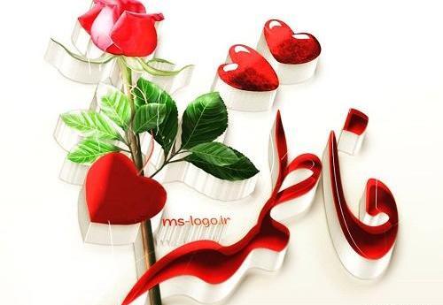 عکس گل فاطمه