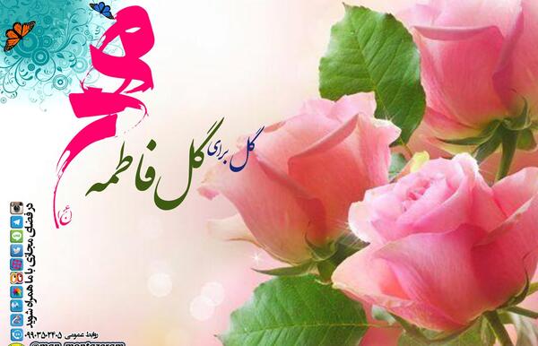 عکس گل فاطمه