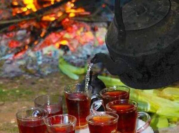 عکس چای آتیشی در طبیعت