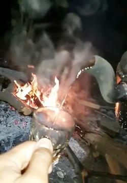 عکس چای آتیشی در طبیعت