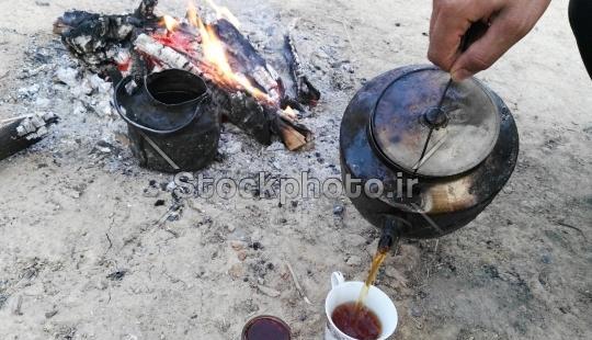 عکس چای آتیشی در طبیعت