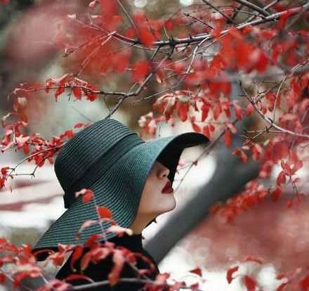 عکس منظره خاص برای پروفایل
