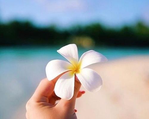 عکس منظره خاص برای پروفایل
