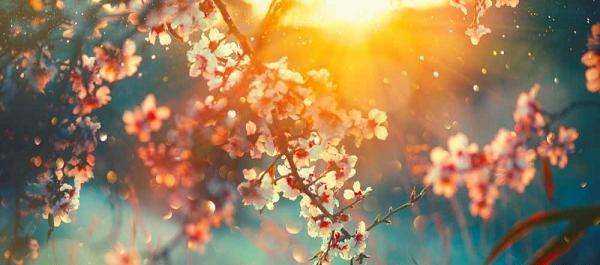 عکس های فصل بهار عاشقانه