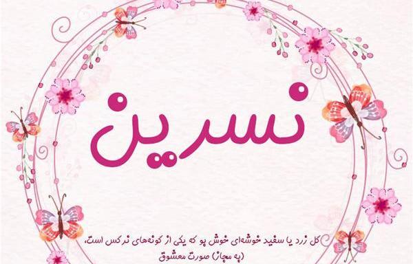 عکس نوشته نسرین جون