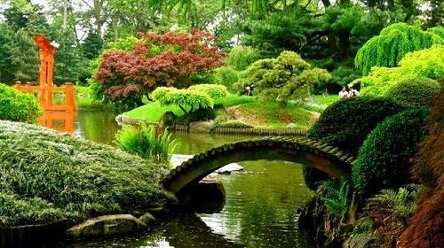 عکس طبیعت زیبا برای پروفایل شاد