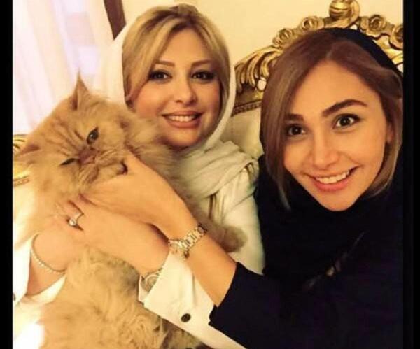 عکس حلقه ازدواج نیوشا ضیغمی