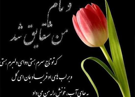 عکس نوشته های گل شقایق