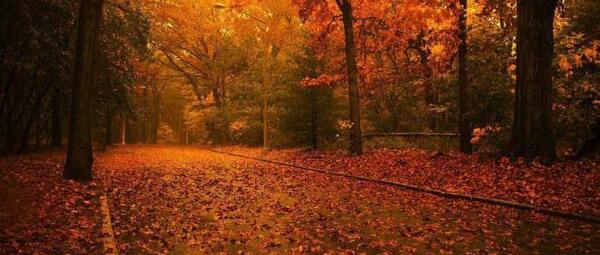 عکس زیبا های طبیعت
