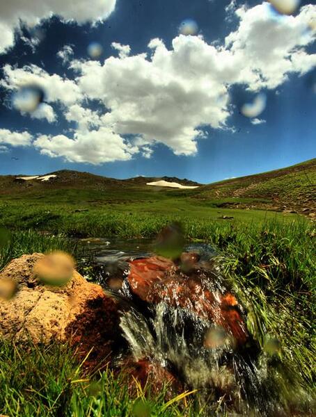 عکس حمید قنبری
