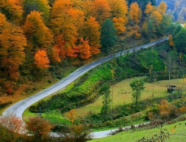 عکس طبیعت نقاشی